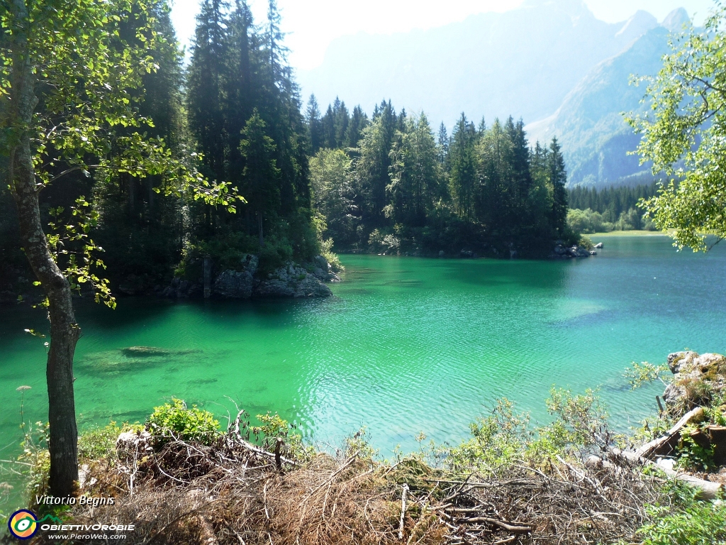 1 Alpi Giulie  Fusine il lago alto mt. 929.JPG